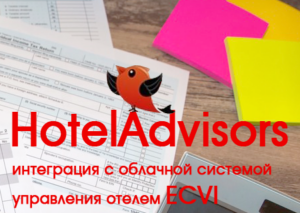 ecvi plus hoteladvisors